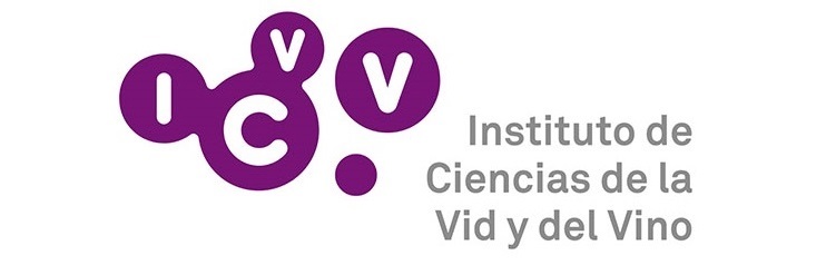 ICVV CSIC - Logo
